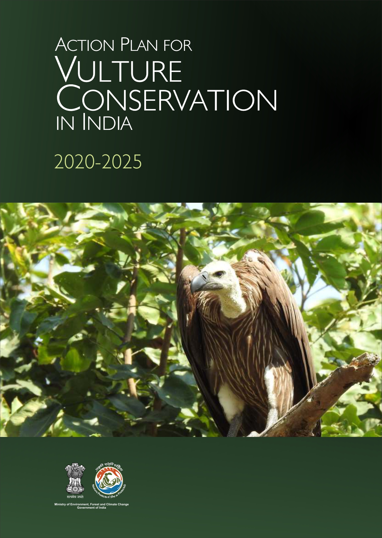 Image of cover of Action Plan for Vulture Conservation in Indian 2020-2025