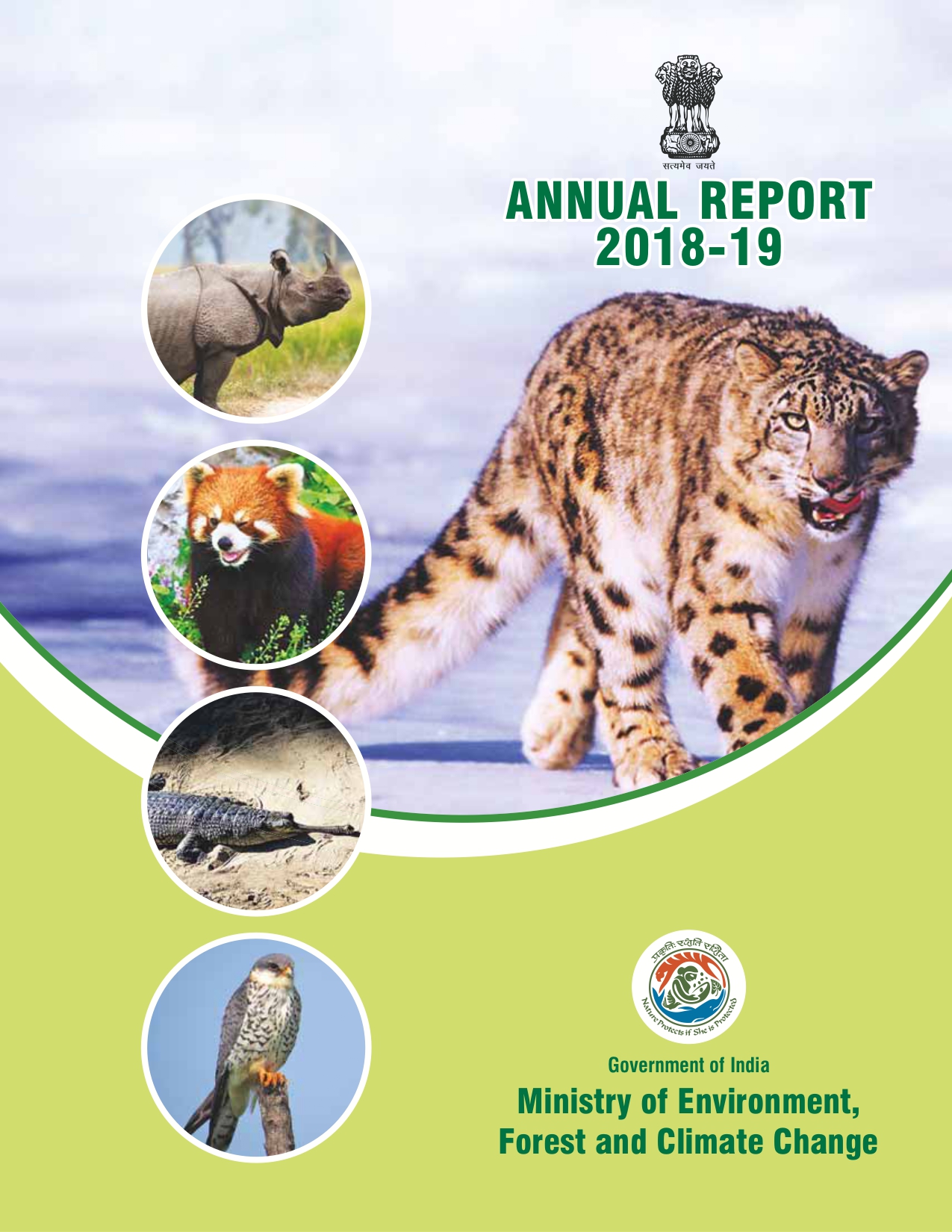 Image of cover of Annual Report 2018-2019